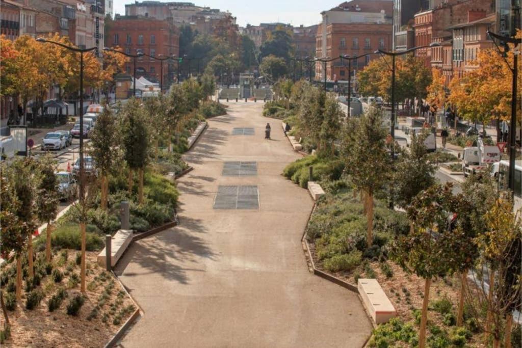 Canal Du Midi, Cosy City Center Apt, Train Station Toulouse Exteriér fotografie